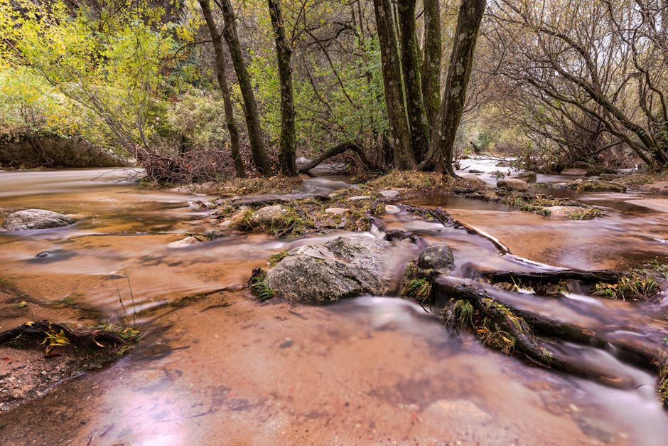 Río ibérico con vegetación riparia en buen estado de conservación