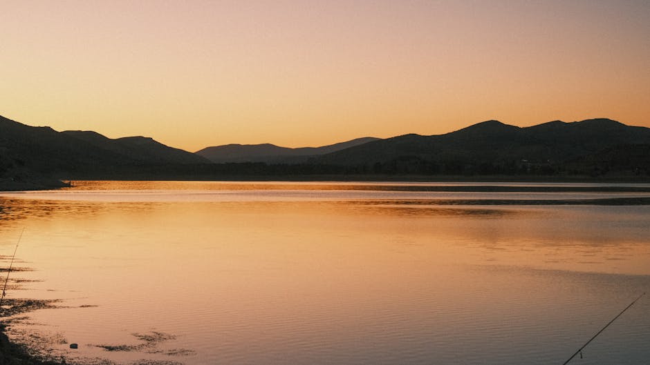 Carpa de gran tamaño en embalse de interior español